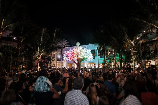 Enjoy Shopping and Dining at CityPlace