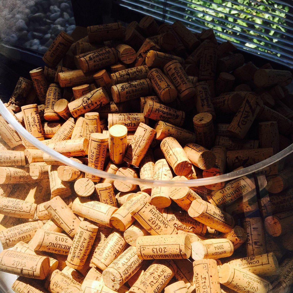 Wine tasting at Domaine Zind-Humbrecht