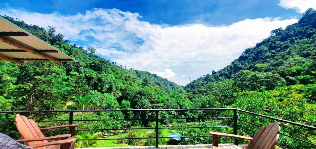 Nature Retreat Hotel