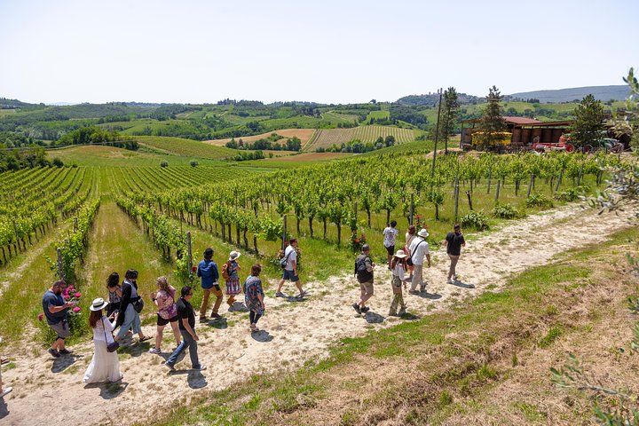 Take a day trip to the Tuscan countryside