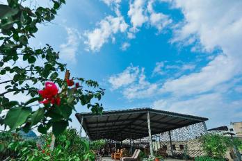 imagen inferior derecha del avatar de la lista