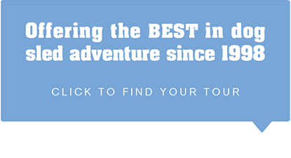 Paws & Adventure Hotel