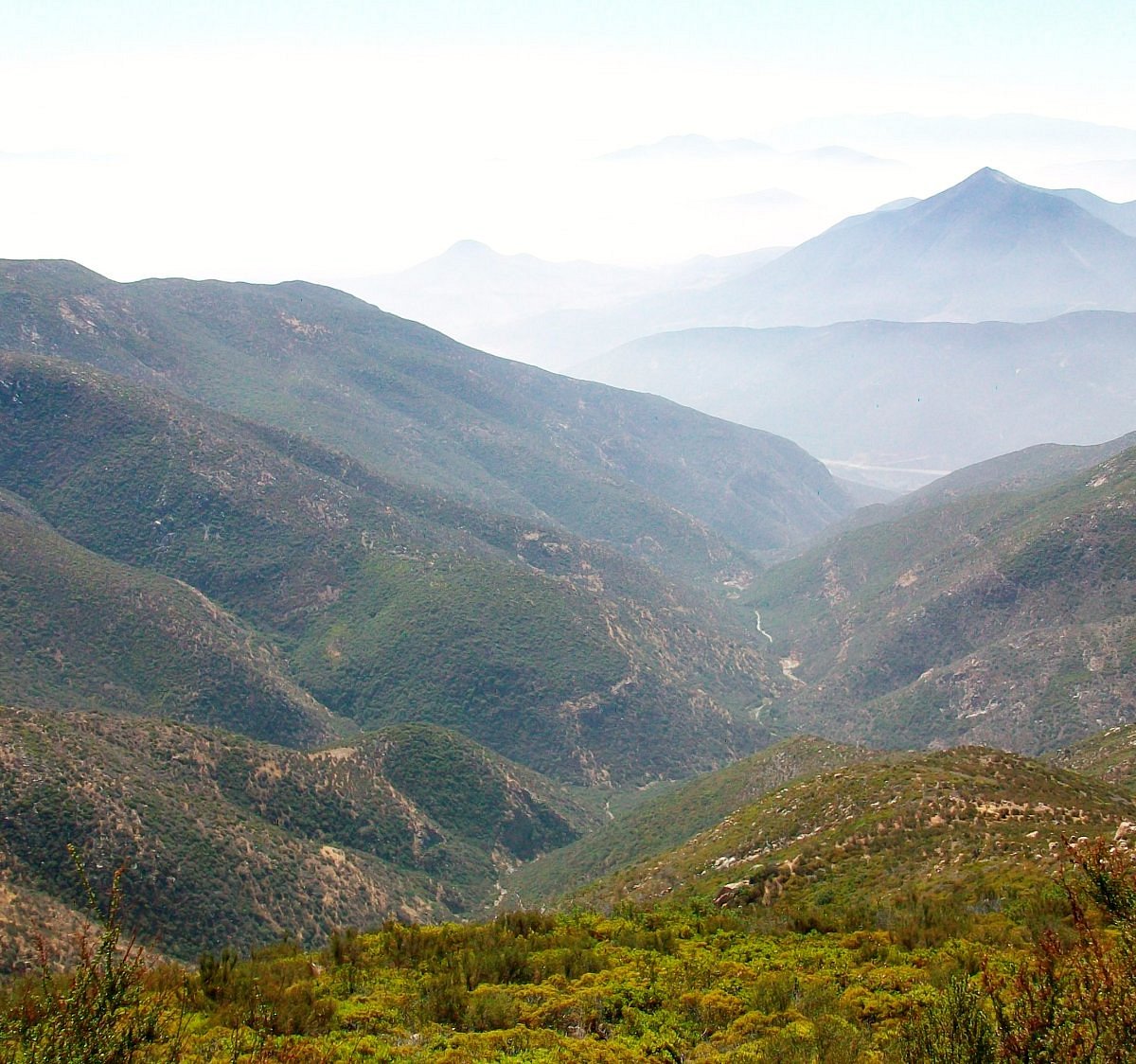 Go hiking in the Otay Mountain Wilderness