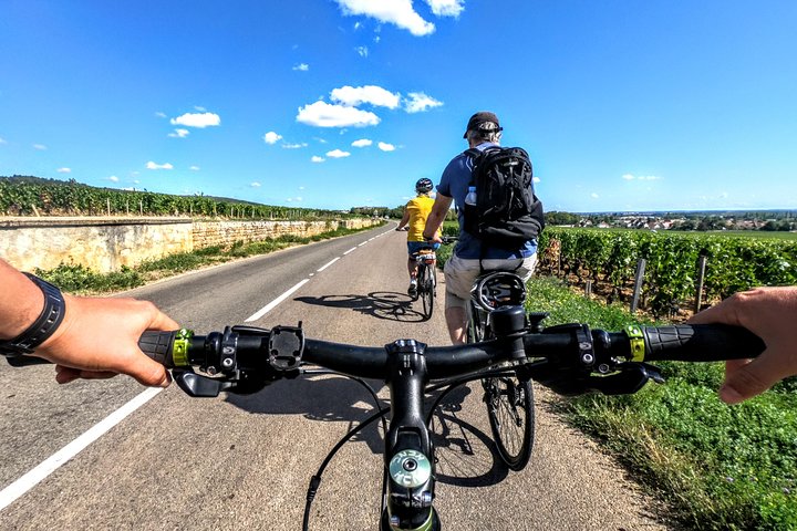 Cycle through the vineyards