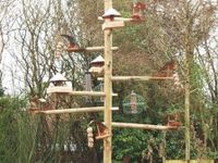 Bird Feeder Station