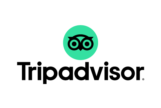9. Google TripAdvisor