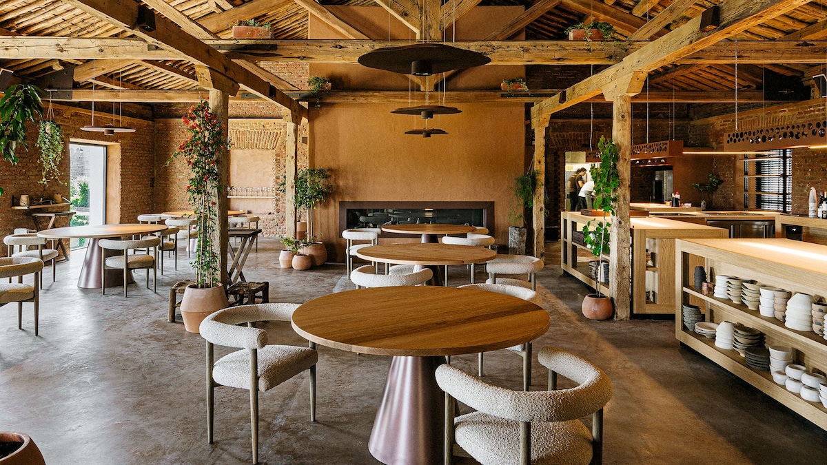 imagen superior del avatar de la lista