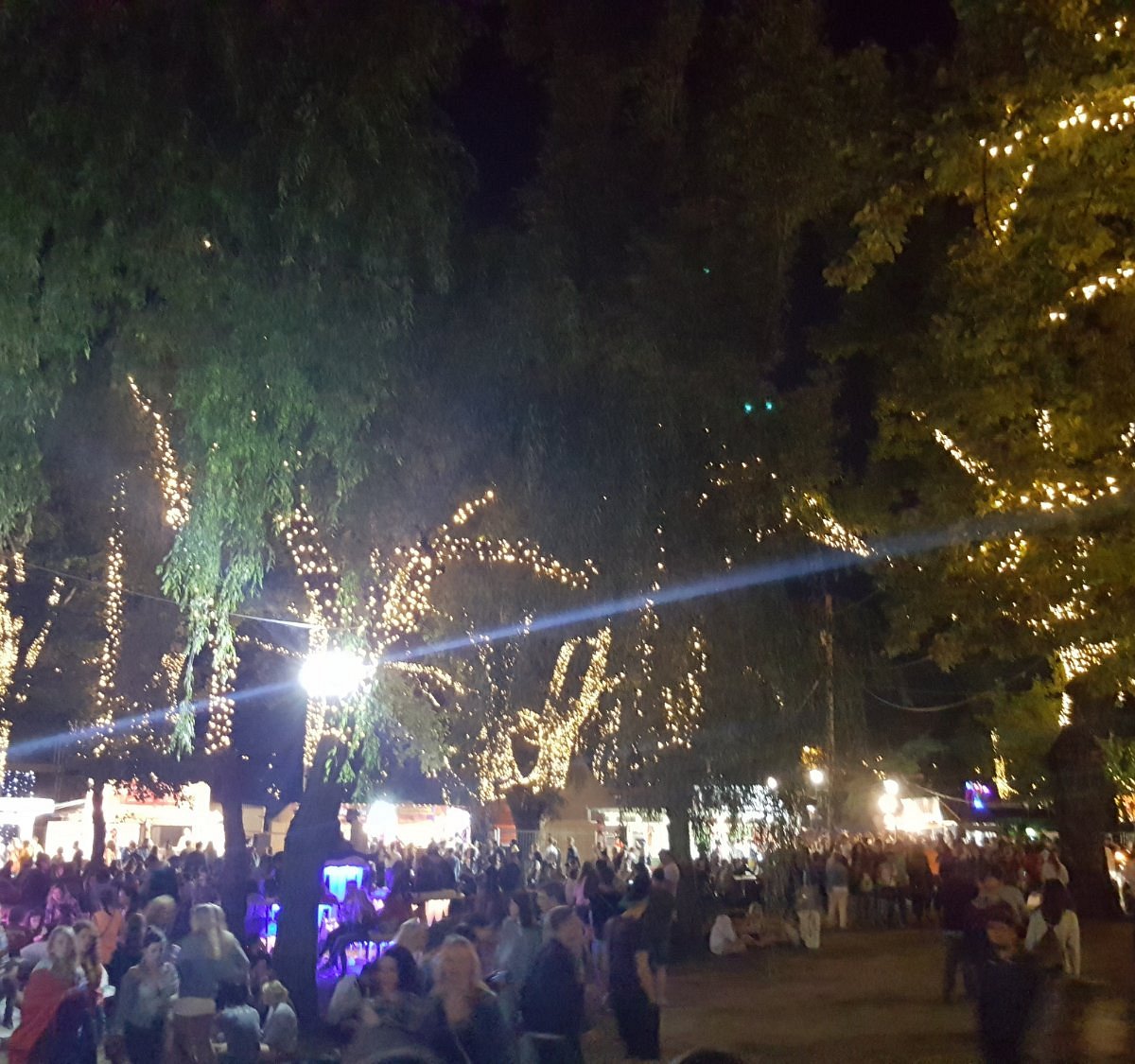 Festival Highlights
