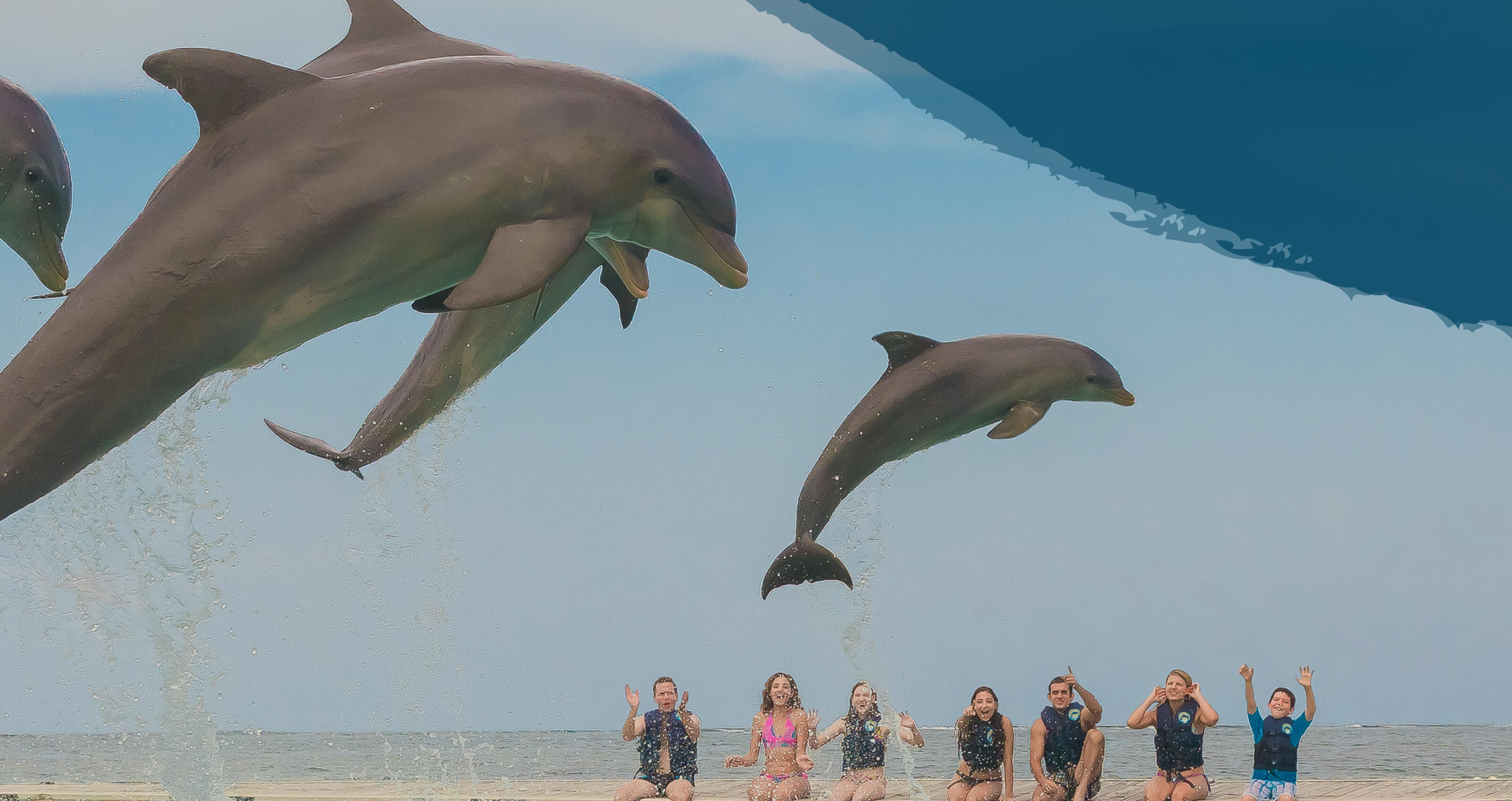 Dolphin Island Park