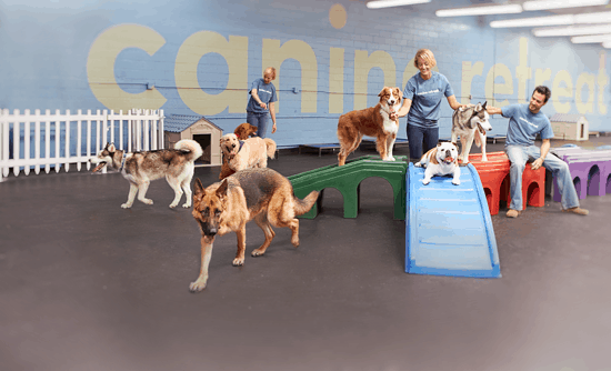 Canine Retreat Resort
