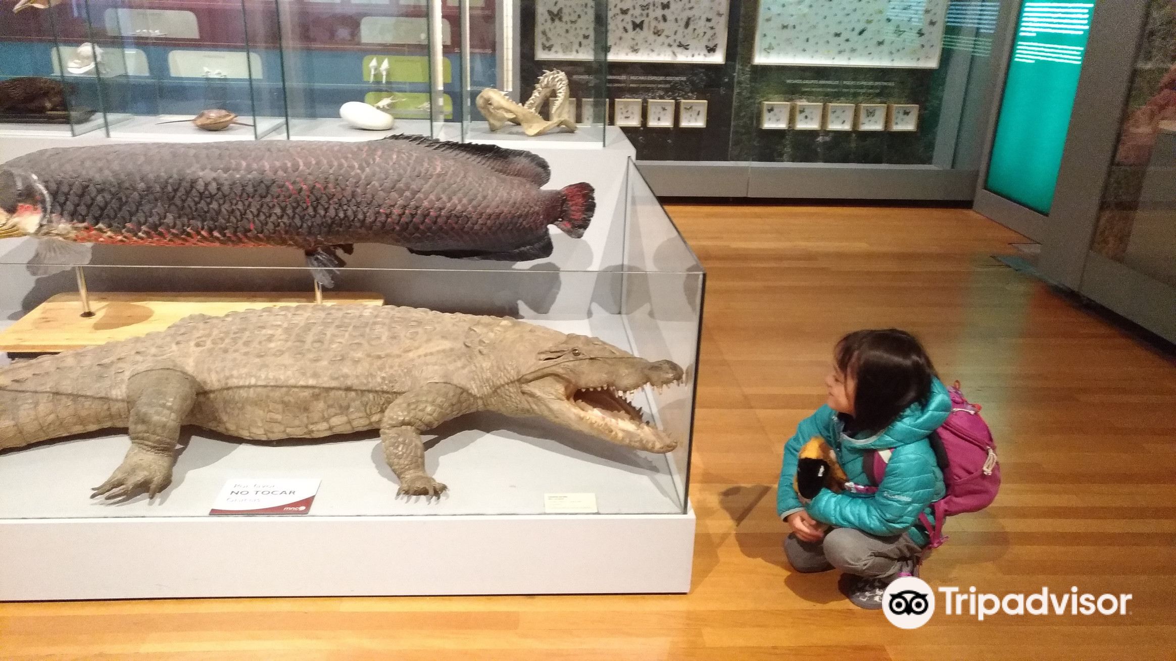 Museo Nacional de Ciencias Naturales