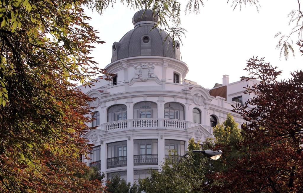 Hotel Petit Palace Savoy Alfonso XII