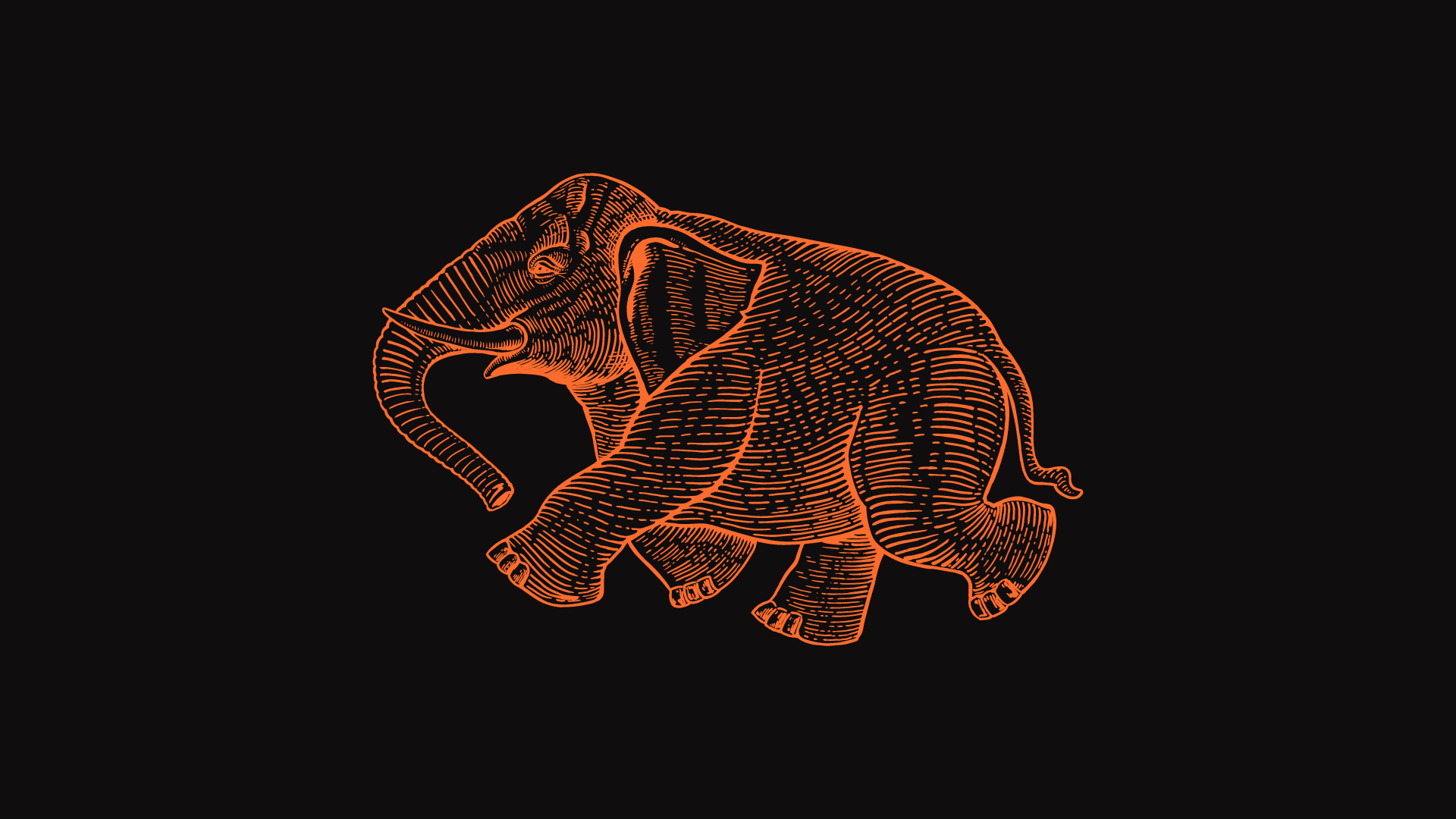 Elephant Grounds