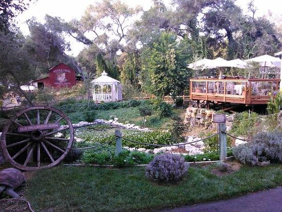 Visit Myrtle Creek Botanical Gardens & Nursery