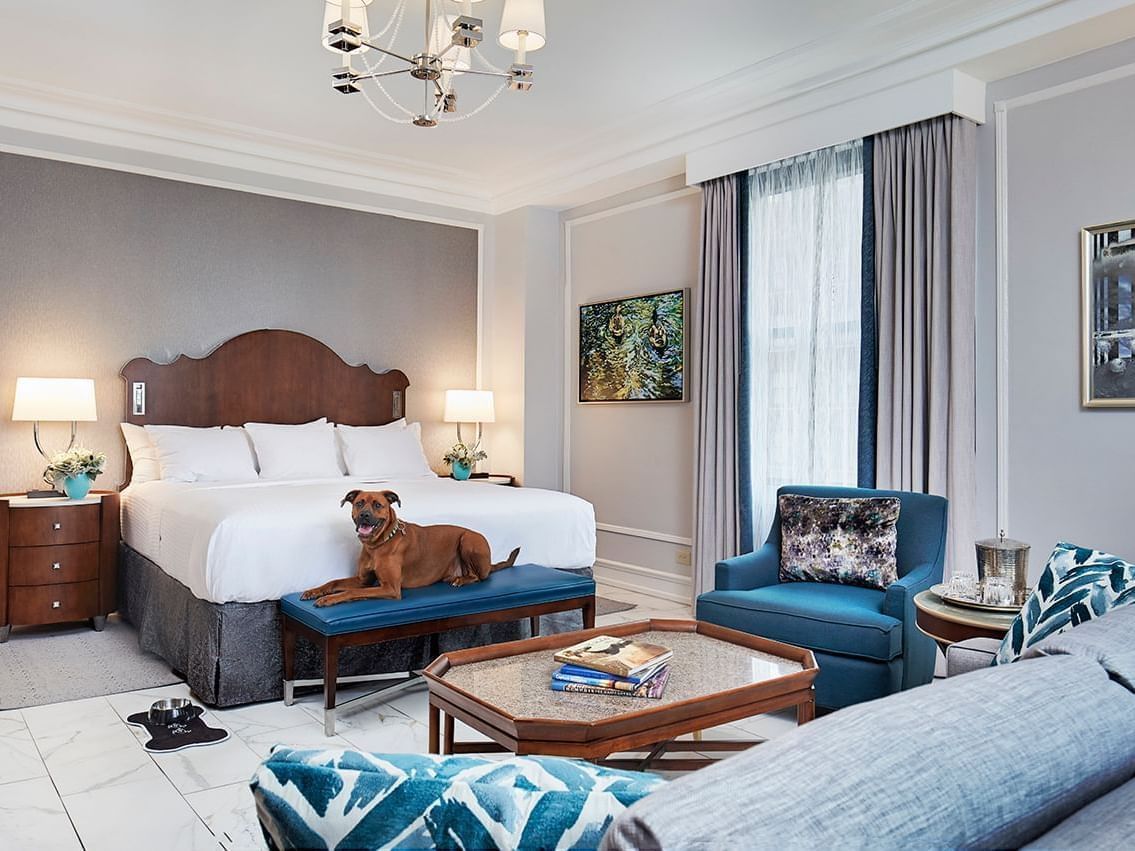 Furry Friends Inn
