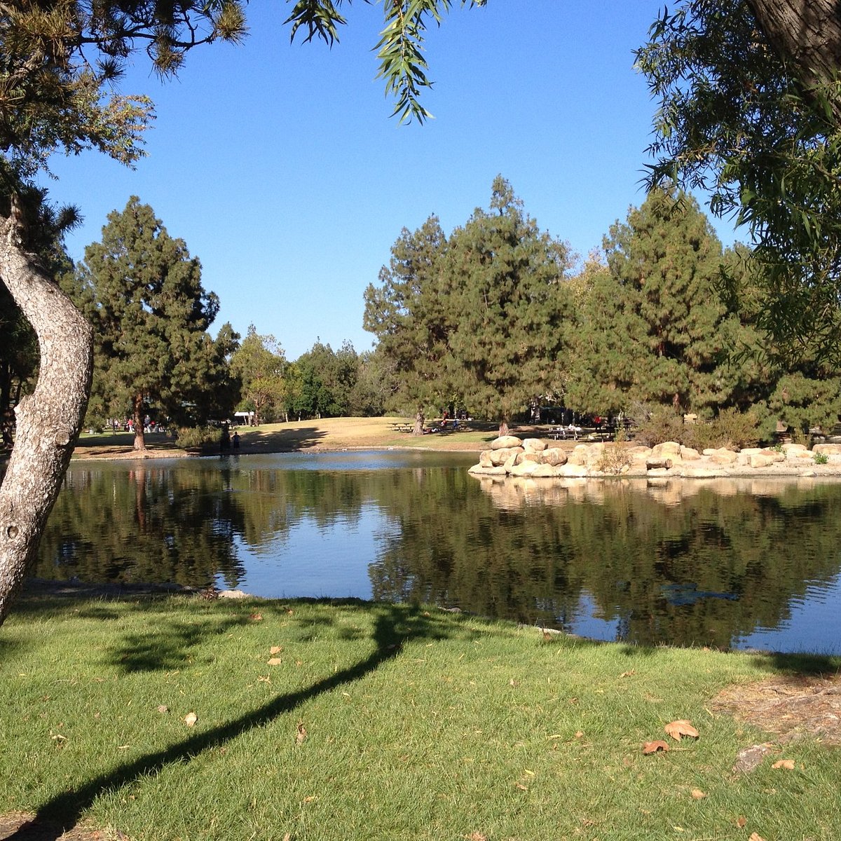 Relax at Yorba Regional Park