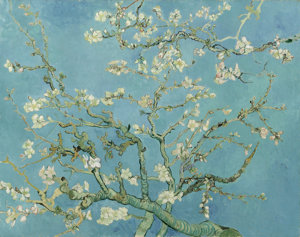 Visita al Museo Van Gogh