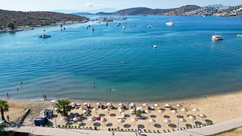 Smart Beachfront Hotel