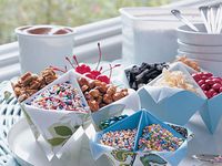 Frozen Dessert Toppings