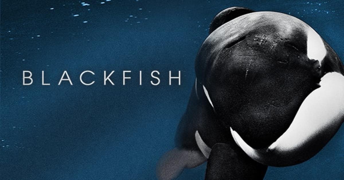 Blackfish