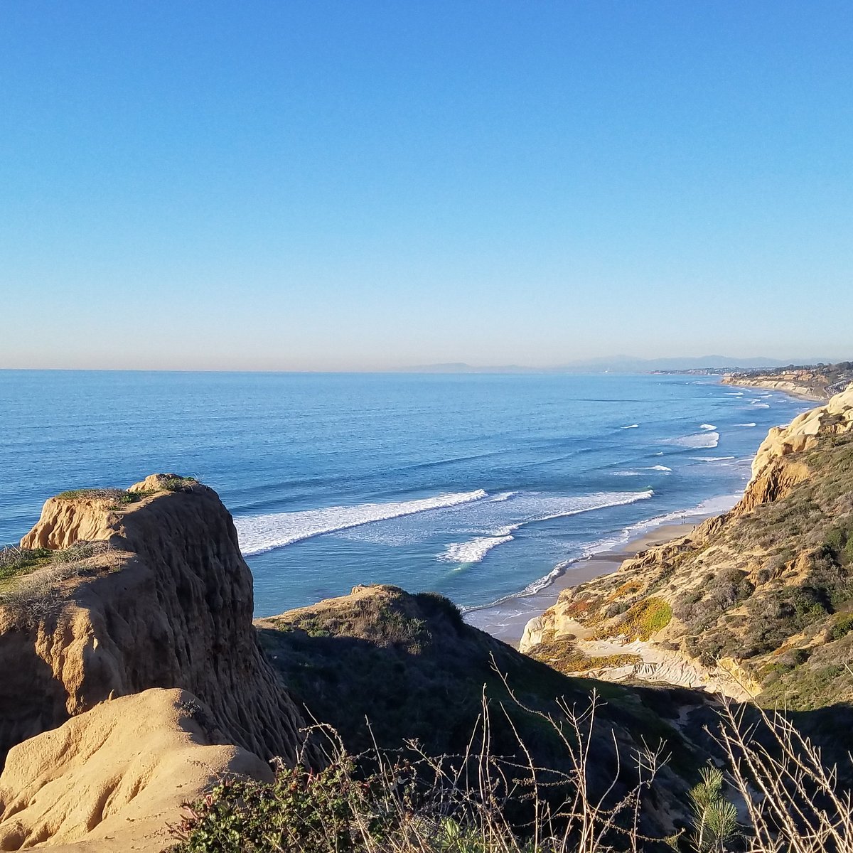 Discover the Torrey Pines State Natural Reserve