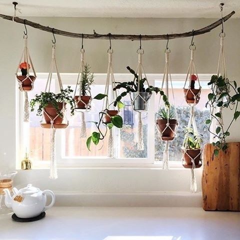 Scandinavian-Inspired White Kitchen with Hanging Herb Garden