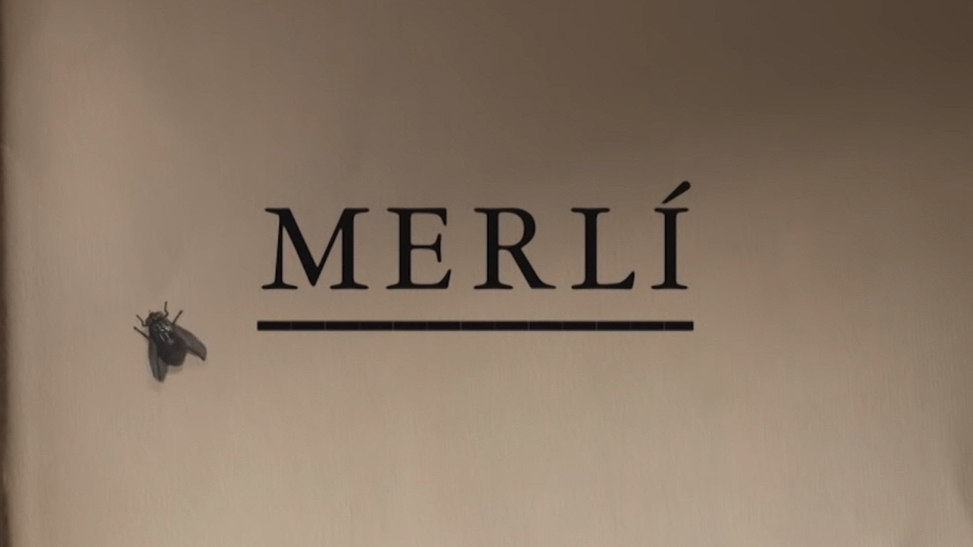 Merlí