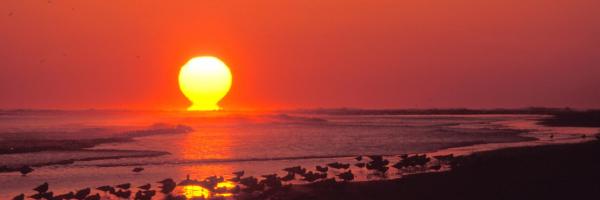 Sea Isle Beach Resort