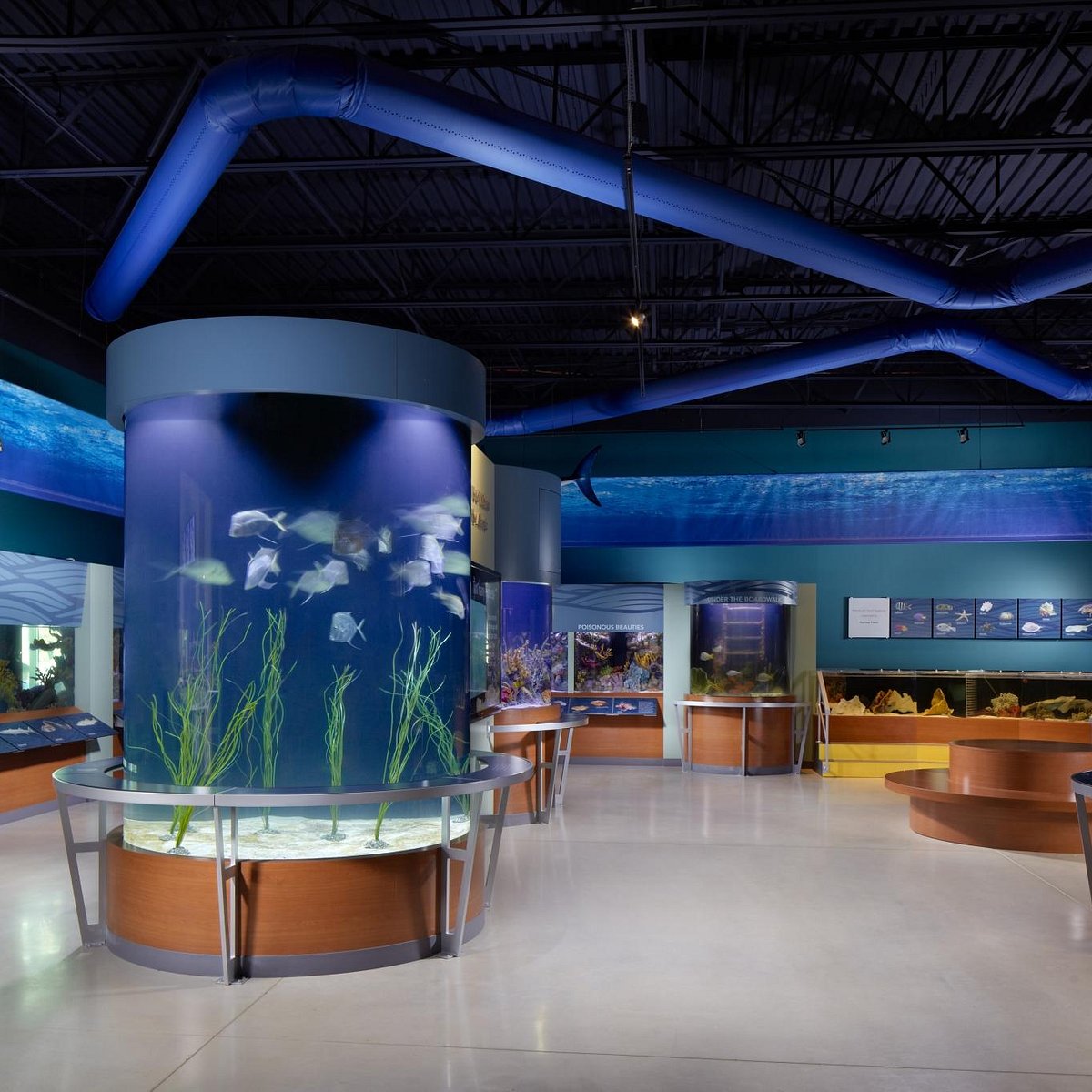 Visit the South Florida Science Center and Aquarium