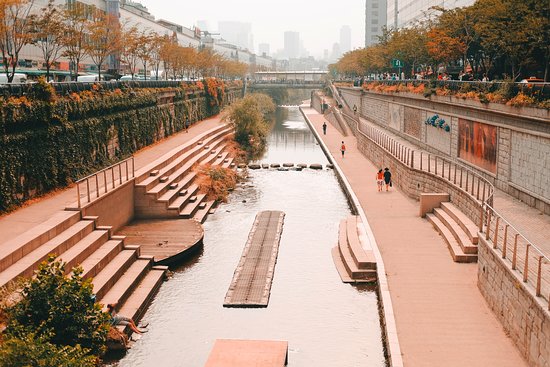 Chic Apartment in Apgujeong