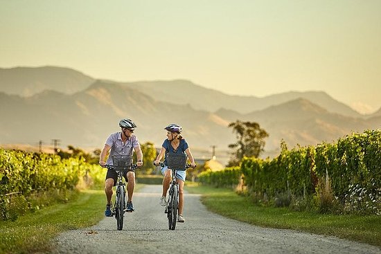 Take a Scenic Bike Ride along the Wairau River