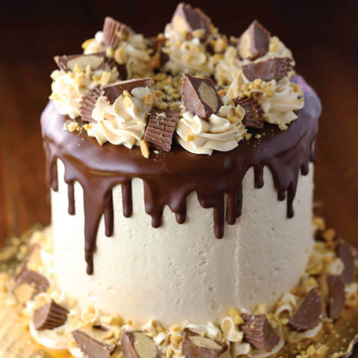 Peanut Butter Chocolate Cake with Peanut Butter Swiss Meringue Buttercream Frosting
