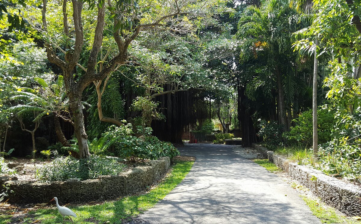 Day 5: Explore the Kampong Botanical Garden