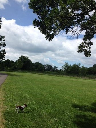 The Beauty Spot at Warner Park