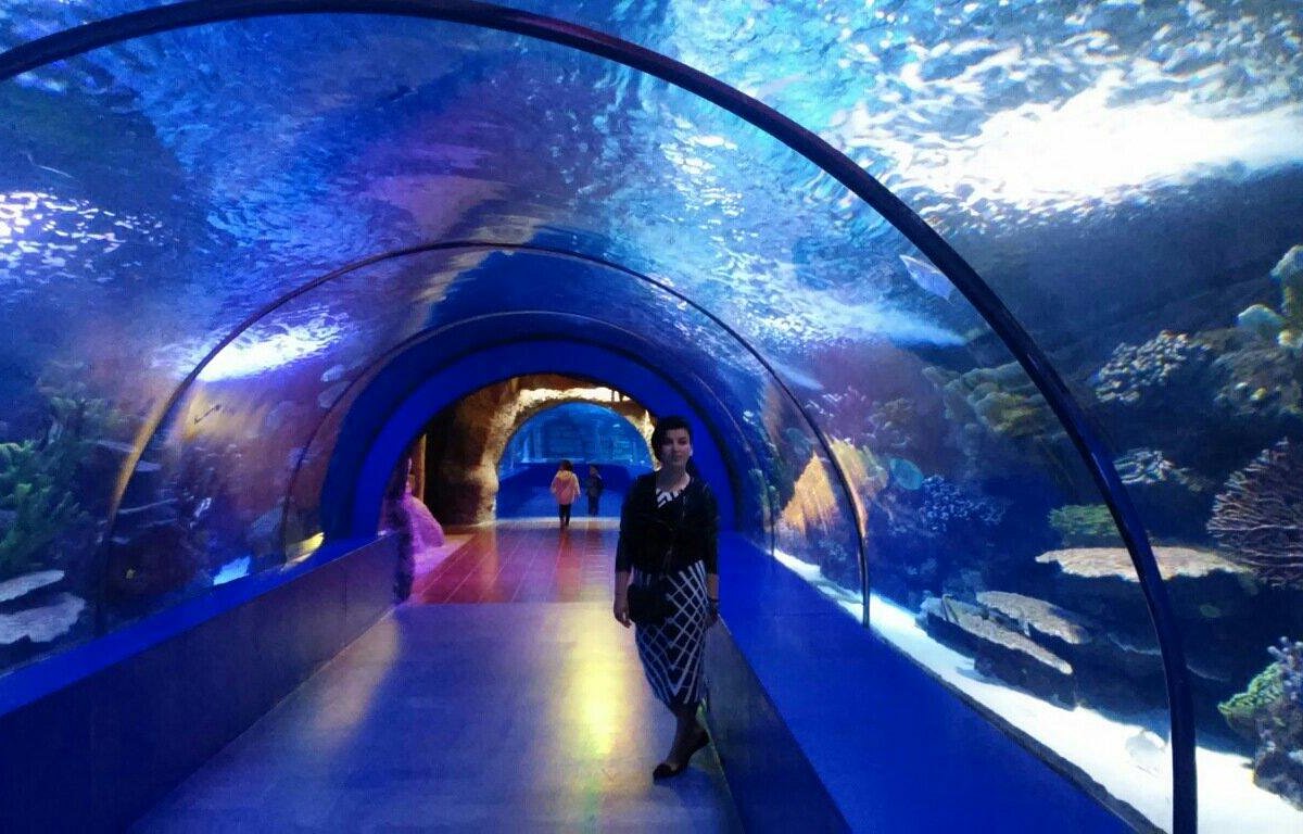 Visita al acuario de Antalya