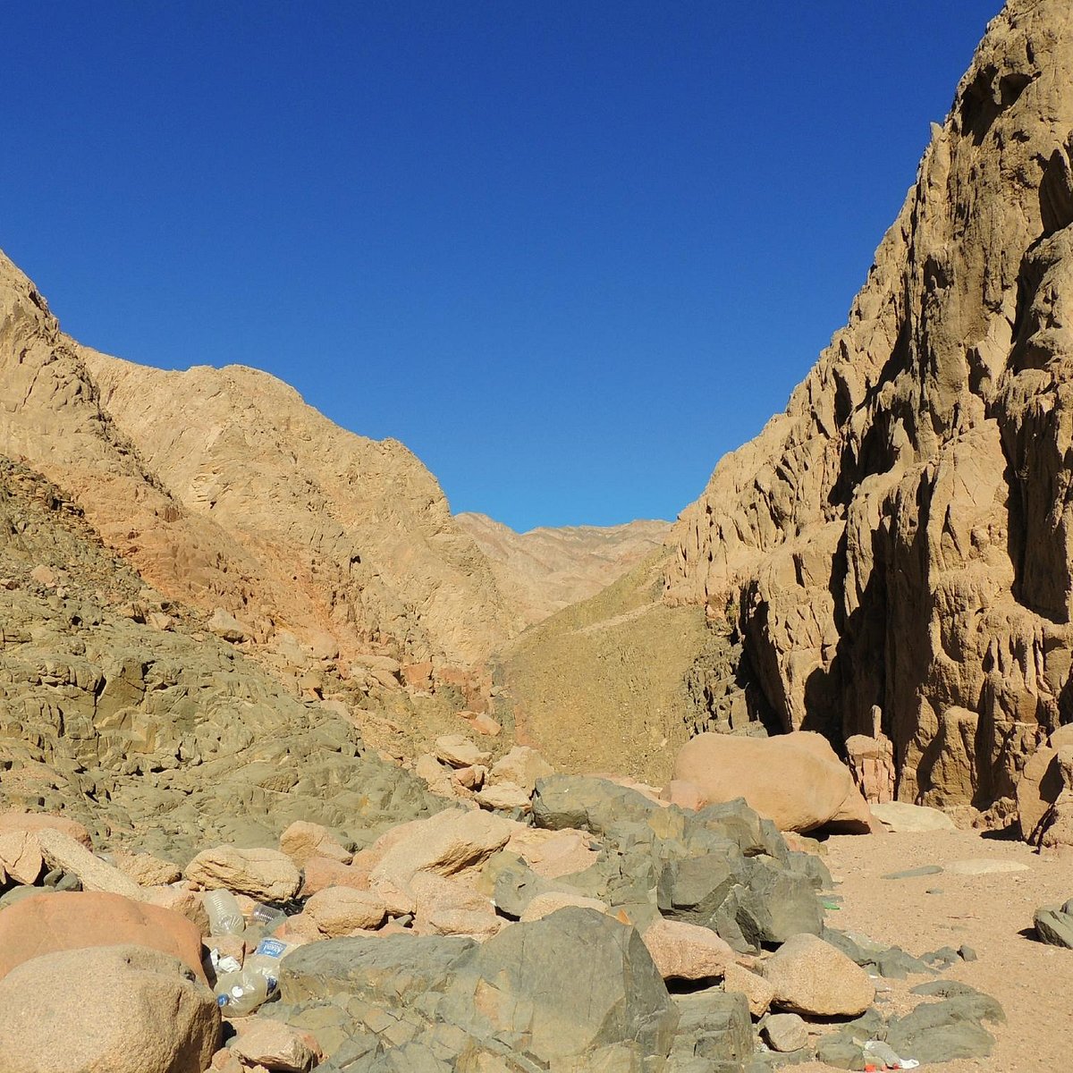 Day 6: Experience the Sinai Desert