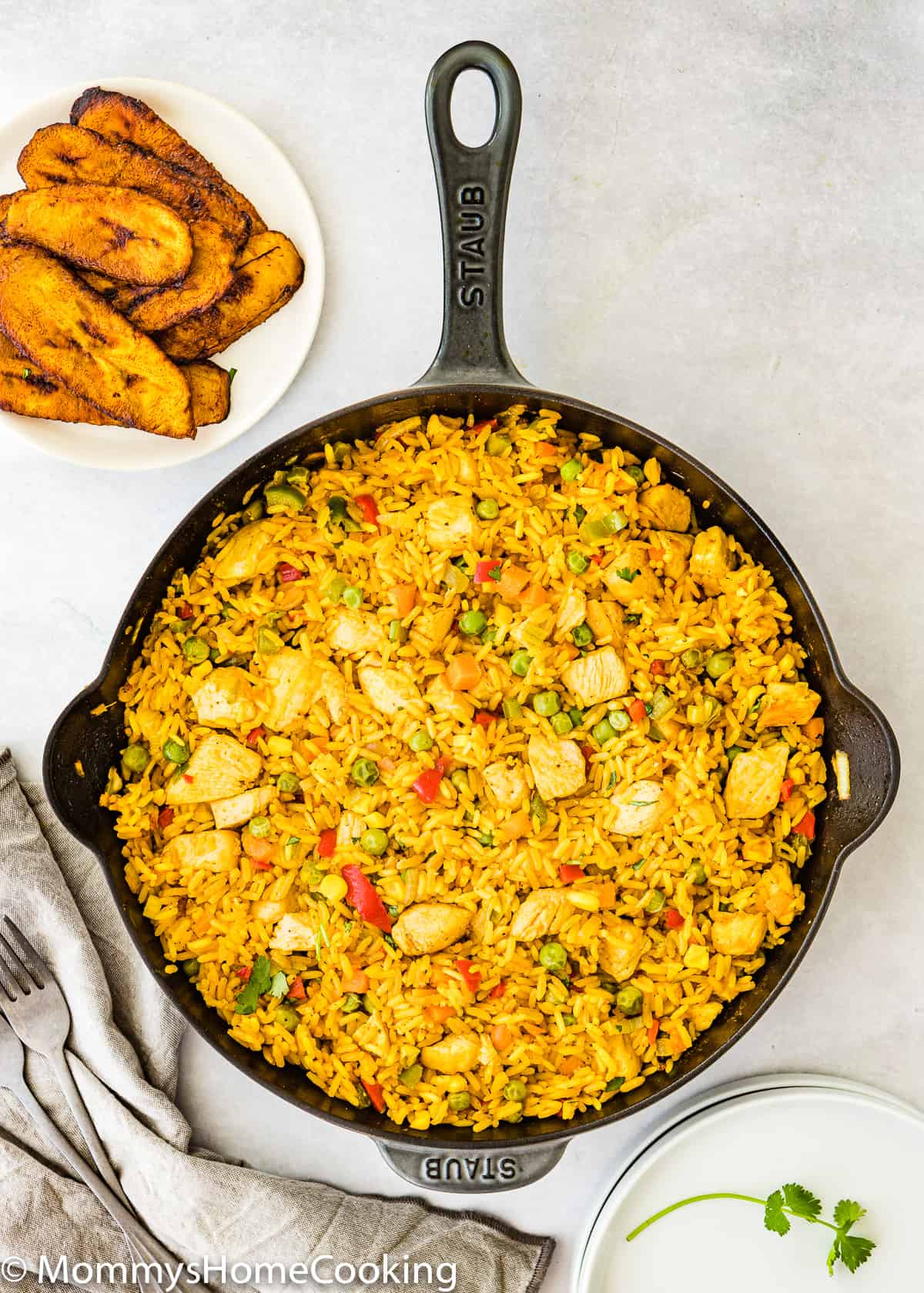 Arroz con Pollo