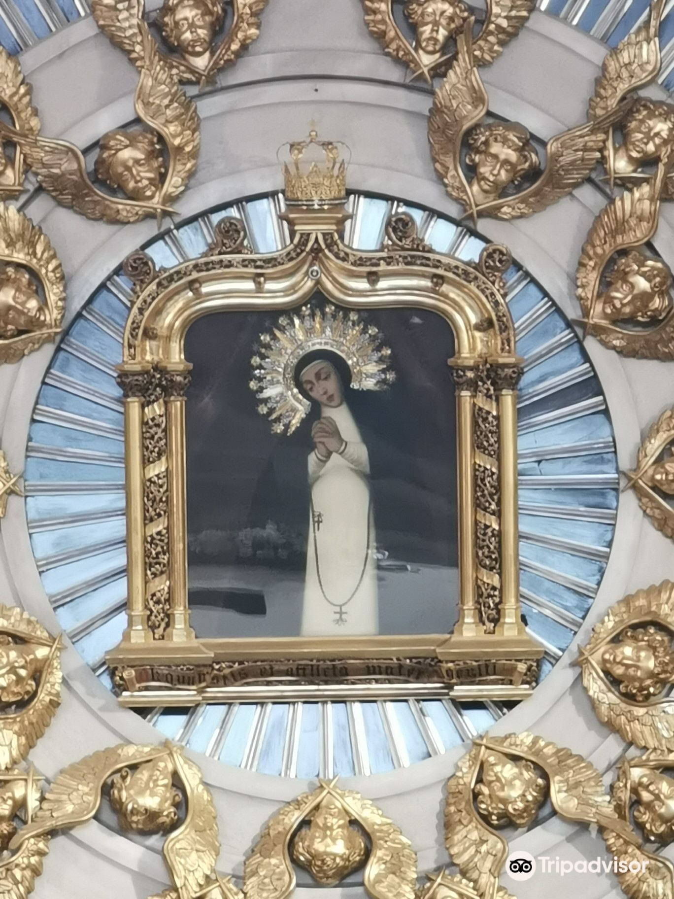 Paloma
