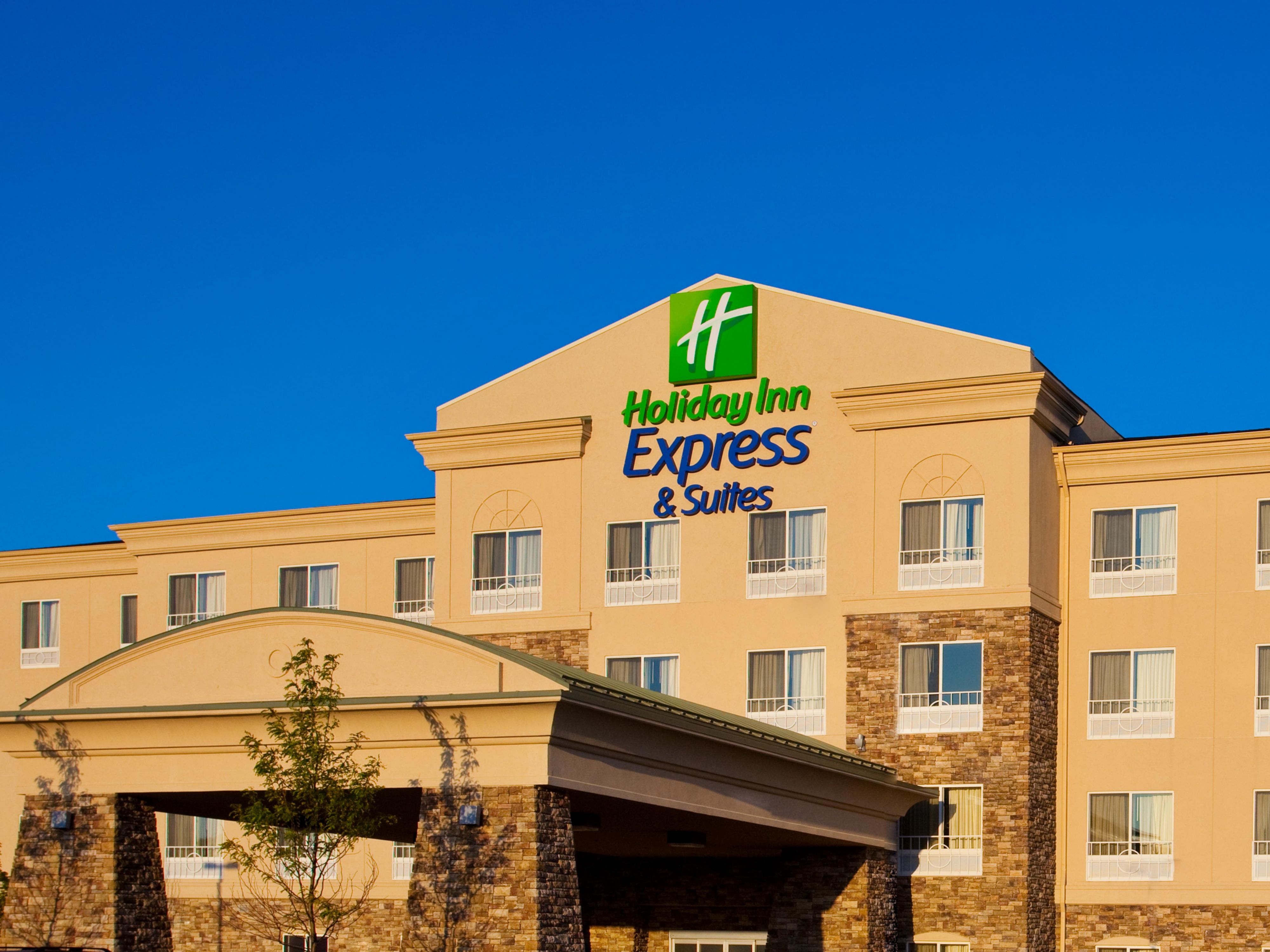 Hot Dog Express