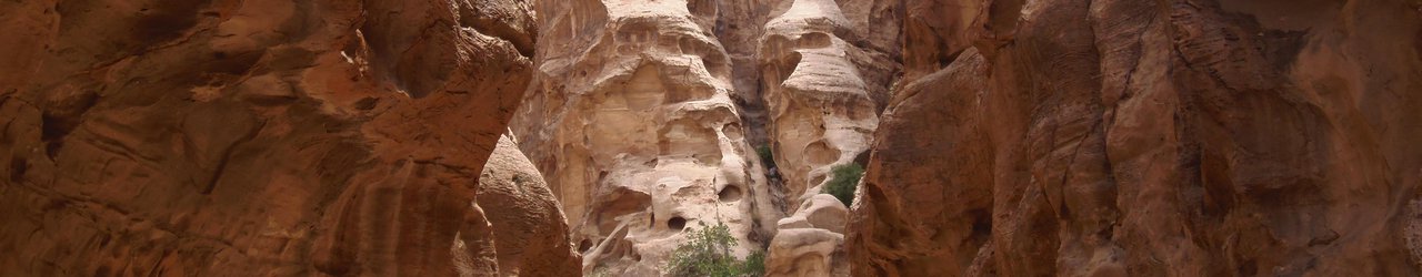 The Jordan Natural History Museum
