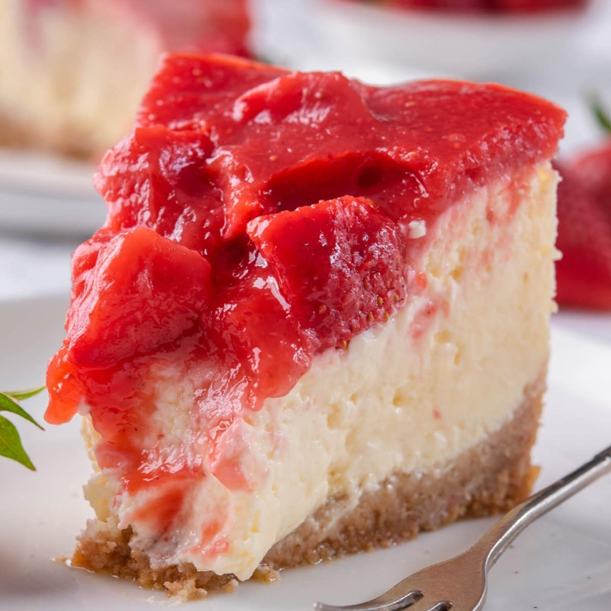Protein Cheesecake