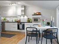 Contemporary Scandinavian Kitchen