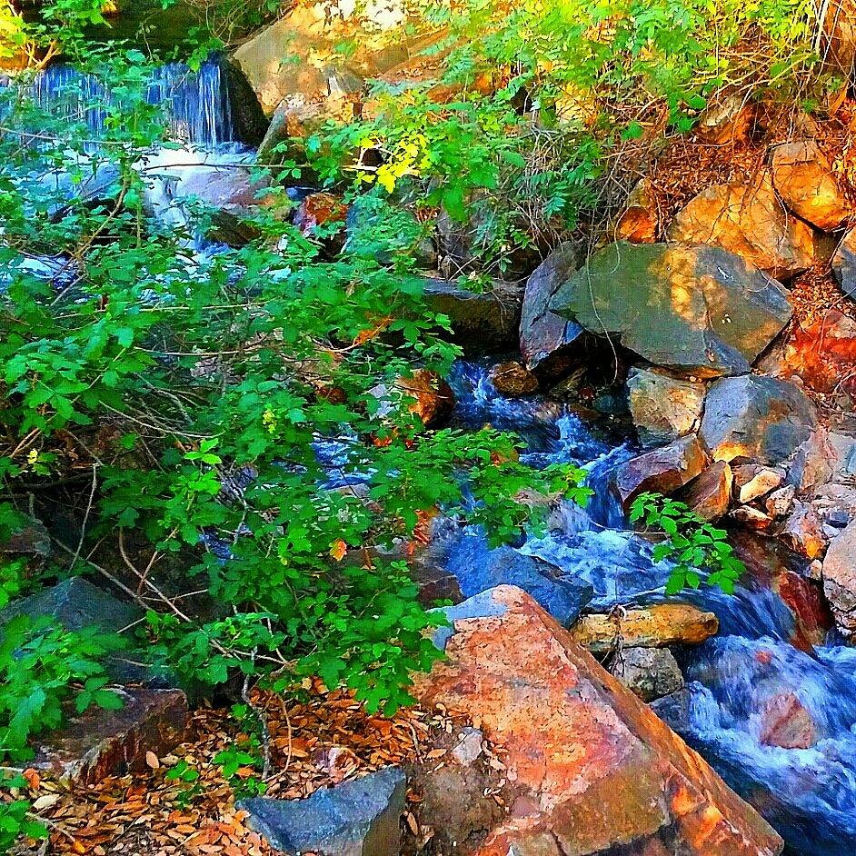 Explore the Oak Canyon Nature Center