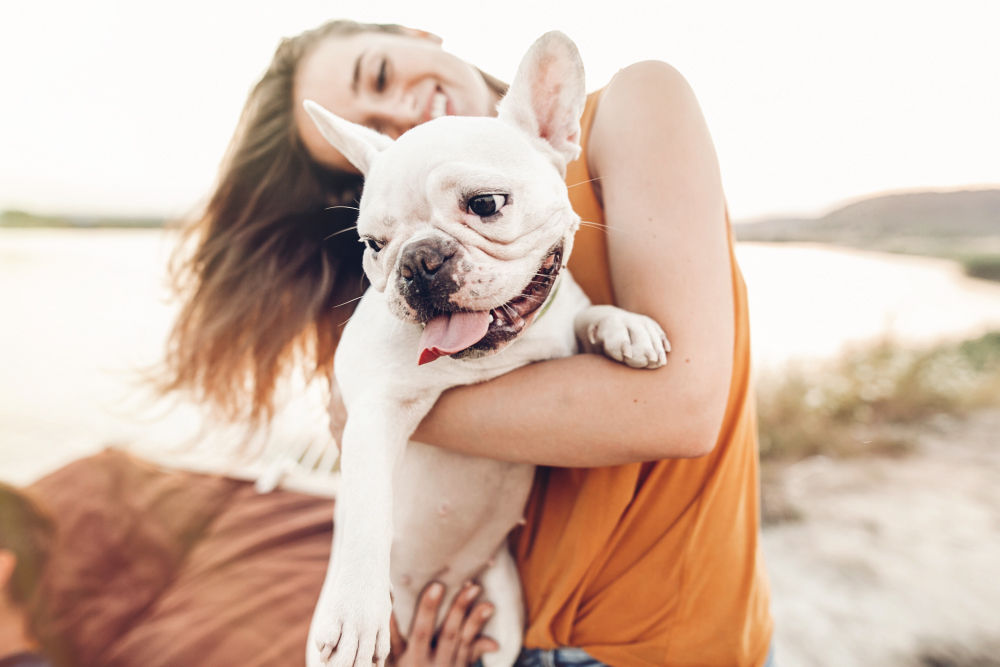 Dog Haven Resort
