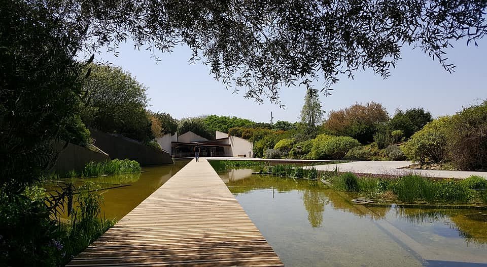 Montjuïc Botanical Garden