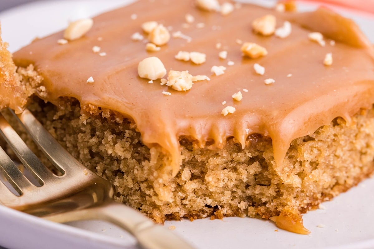 Peanut Butter Chocolate Cake with Peanut Butter Marshmallow Frosting