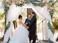 Garden Wedding Arch