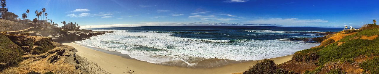 Whale Watching