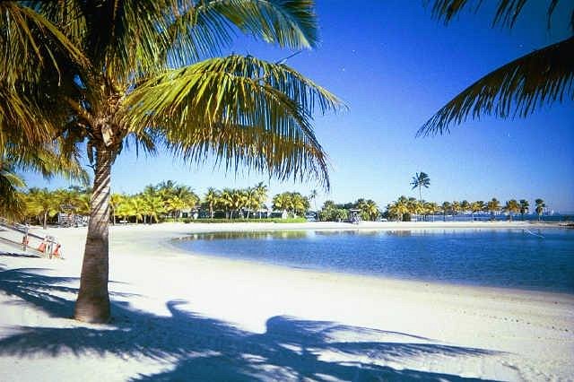 Matheson Hammock Park