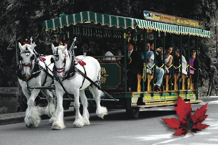 Family Pass to the Vancouver Aquarium and Stanley Park Horse-Drawn Tours